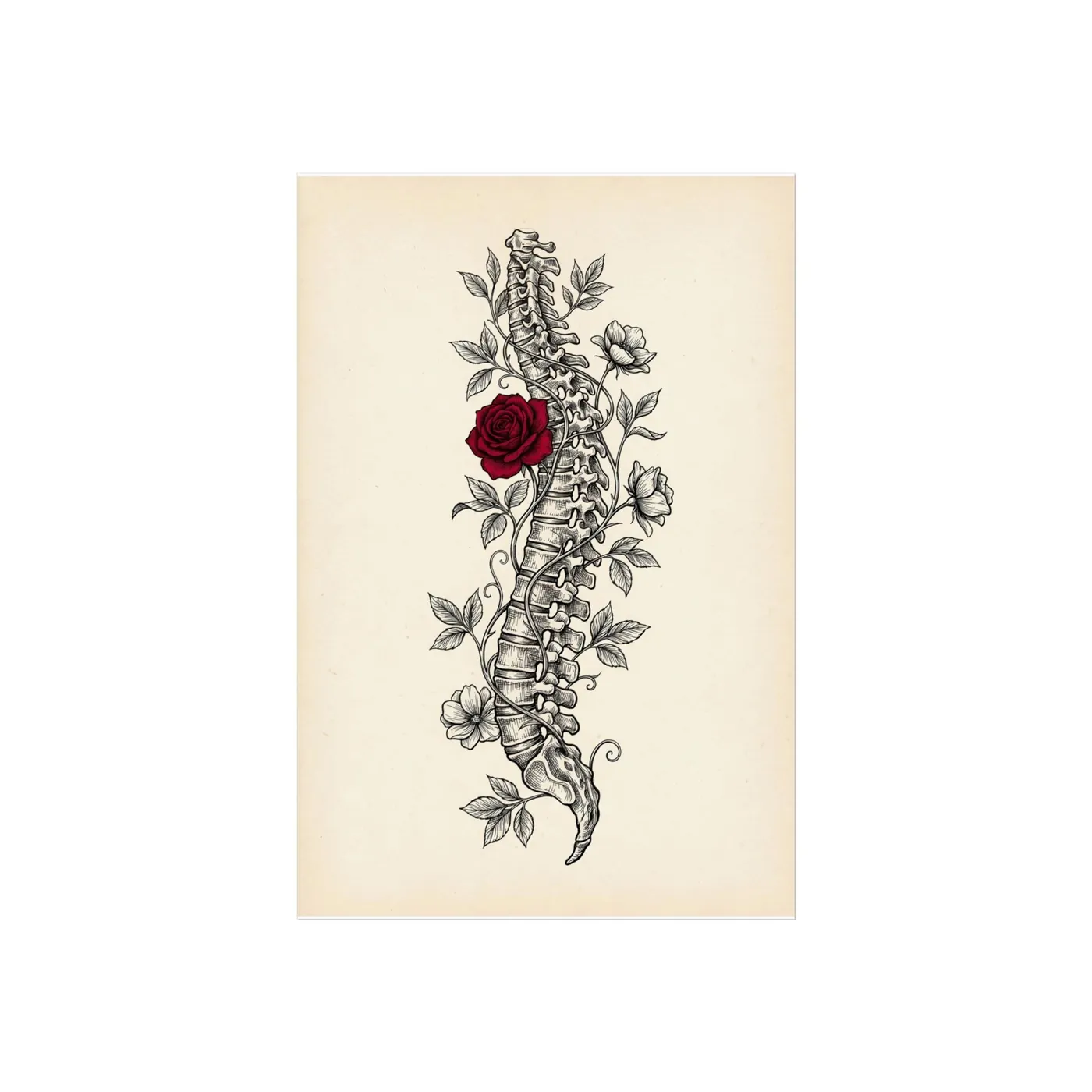 Botanical Wall Art | Anatomical Floral Spine Sumi-e Ink Print | Black and White Zen Decor | A1 Ready Poster Print